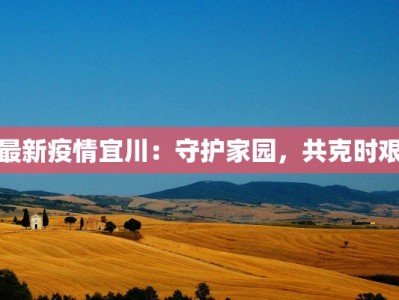 最新疫情宜川：守护家园，共克时艰