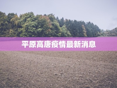 平原高唐疫情最新消息
