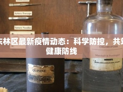东林区最新疫情动态：科学防控，共筑健康防线