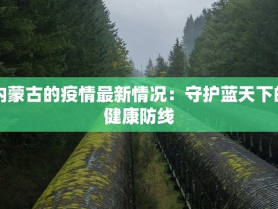 内蒙古的疫情最新情况：守护蓝天下的健康防线