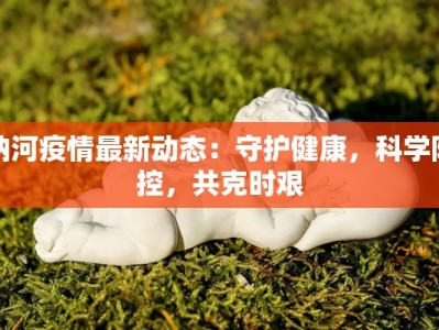讷河疫情最新动态：守护健康，科学防控，共克时艰