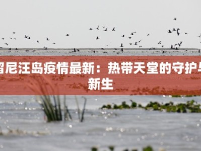 板泉最新疫情情况