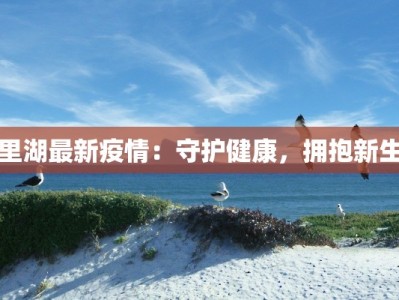 里湖最新疫情：守护健康，拥抱新生
