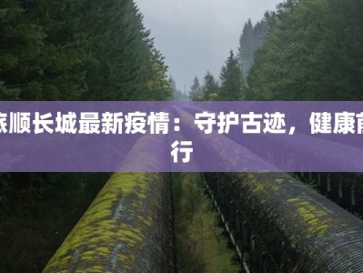 旅顺长城最新疫情：守护古迹，健康前行