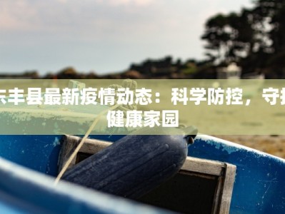 东丰县最新疫情动态：科学防控，守护健康家园