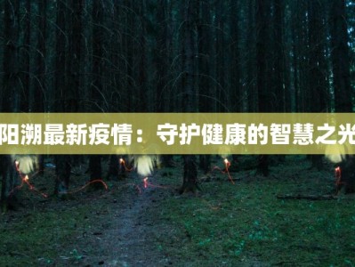 阳溯最新疫情：守护健康的智慧之光