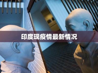 印度现疫情最新情况