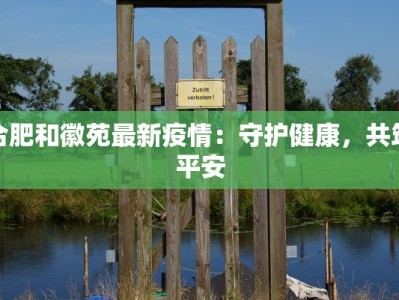 合肥和徽苑最新疫情：守护健康，共筑平安