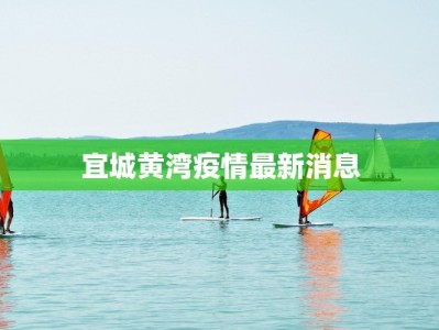 成都的最新疫情人数：守护健康，拥抱活力