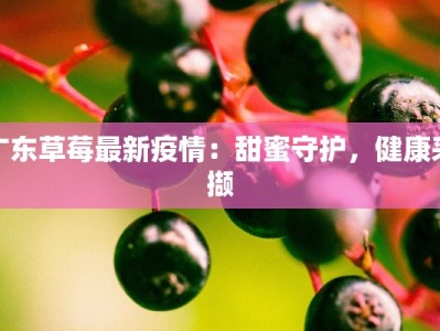 广东草莓最新疫情：甜蜜守护，健康采撷