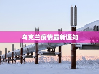 郑州最新疫情特点