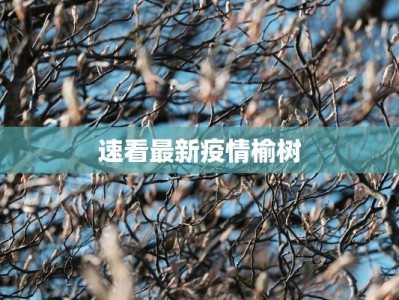 速看最新疫情榆树