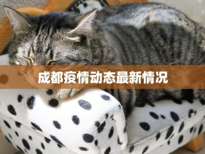 杜阮疫情最新情况