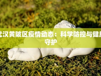 武汉黄陂区疫情动态：科学防控与健康守护