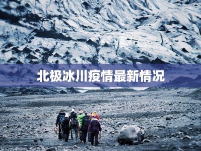 北极冰川疫情最新情况