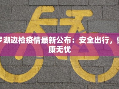 罗湖边检疫情最新公布：安全出行，健康无忧