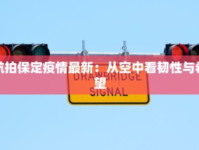 航拍保定疫情最新：从空中看韧性与希望