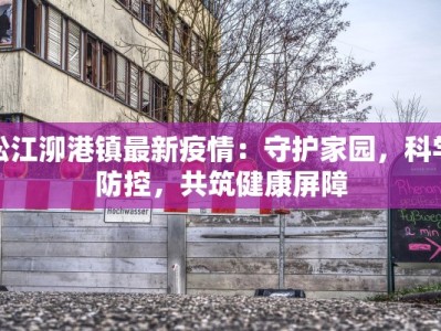松江泖港镇最新疫情：守护家园，科学防控，共筑健康屏障