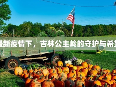 丰县今天最新通知疫情：科学防控，守护健康家园