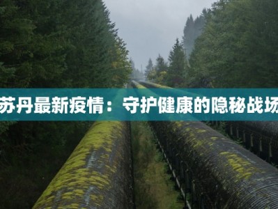 苏丹最新疫情：守护健康的隐秘战场