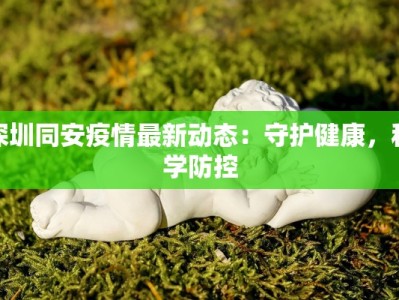 深圳同安疫情最新动态：守护健康，科学防控