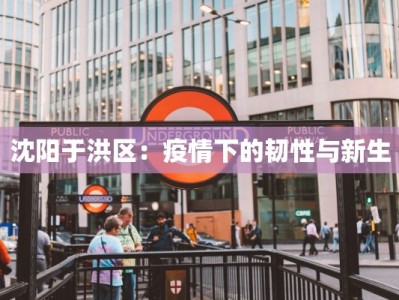 沈阳于洪区：疫情下的韧性与新生