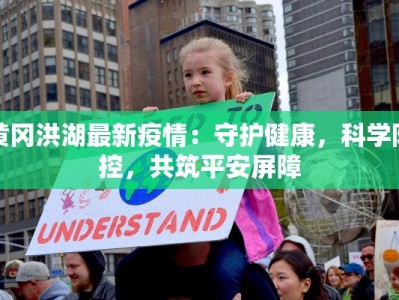 黄冈洪湖最新疫情：守护健康，科学防控，共筑平安屏障