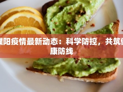 濮阳疫情最新动态：科学防控，共筑健康防线