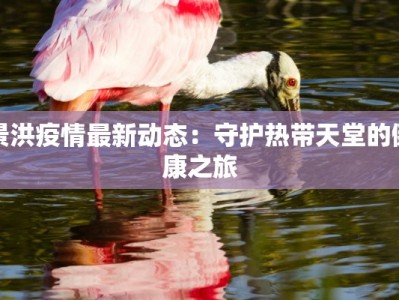 景洪疫情最新动态：守护热带天堂的健康之旅