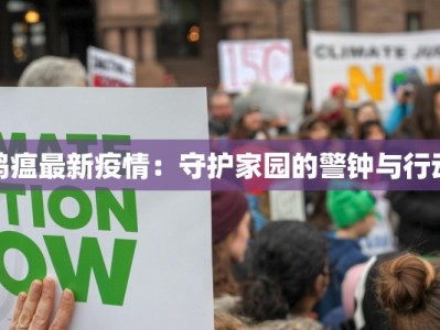 鸡瘟最新疫情：守护家园的警钟与行动