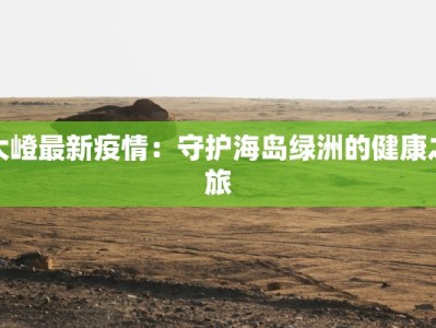 沈阳抗疫最新报道：守护家园的温暖力量