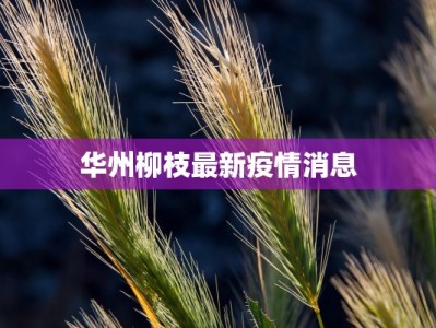 华州柳枝最新疫情消息