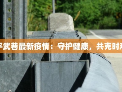 平武巷最新疫情：守护健康，共克时艰