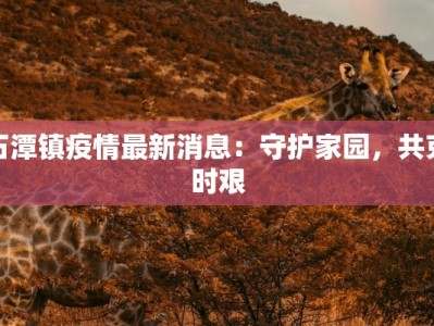 石潭镇疫情最新消息：守护家园，共克时艰
