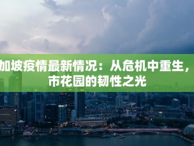 新加坡疫情最新情况：从危机中重生，城市花园的韧性之光