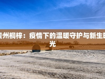 贵州桐梓：疫情下的温暖守护与新生曙光