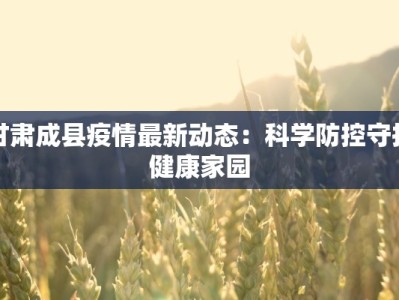 甘肃成县疫情最新动态：科学防控守护健康家园