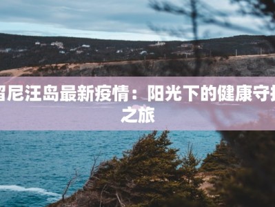 留尼汪岛最新疫情：阳光下的健康守护之旅