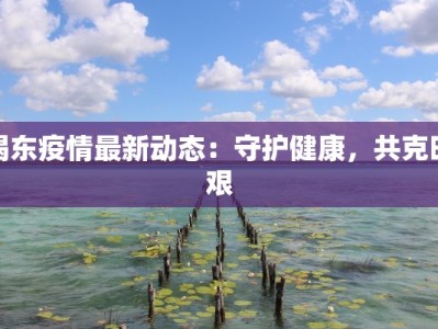 揭东疫情最新动态：守护健康，共克时艰