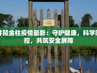 井陉金柱疫情最新：守护健康，科学防控，共筑安全屏障