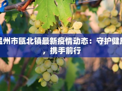 温州市瓯北镇最新疫情动态：守护健康，携手前行