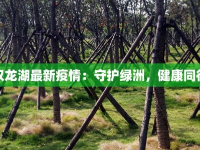 双龙湖最新疫情：守护绿洲，健康同行