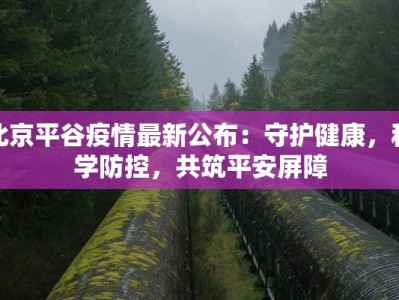 龙冈疫情最新通告