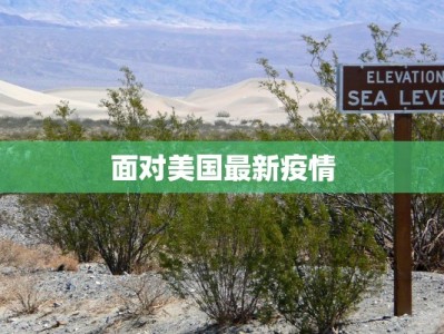 面对美国最新疫情