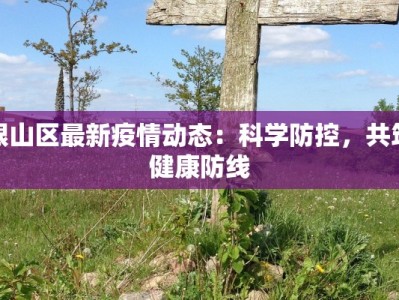 银山区最新疫情动态：科学防控，共筑健康防线