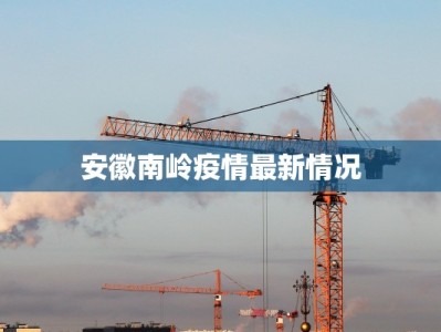 安徽南岭疫情最新情况