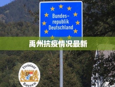 上海疫情本土最新情况：守护家园的温暖力量