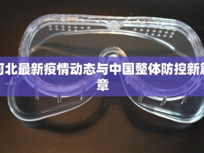 河北最新疫情动态与中国整体防控新篇章