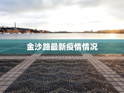 金沙路最新疫情情况