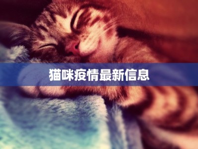猫咪疫情最新信息